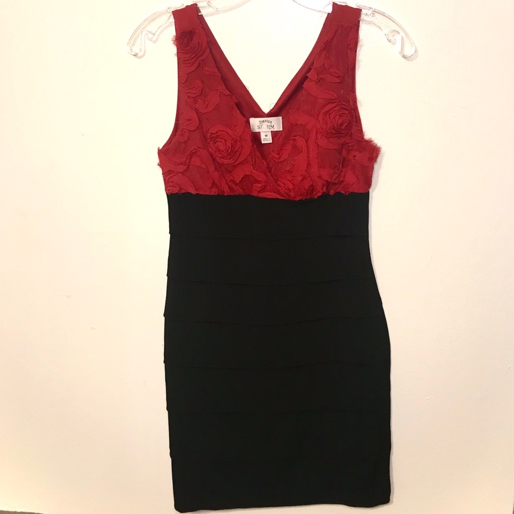 Rose Dress